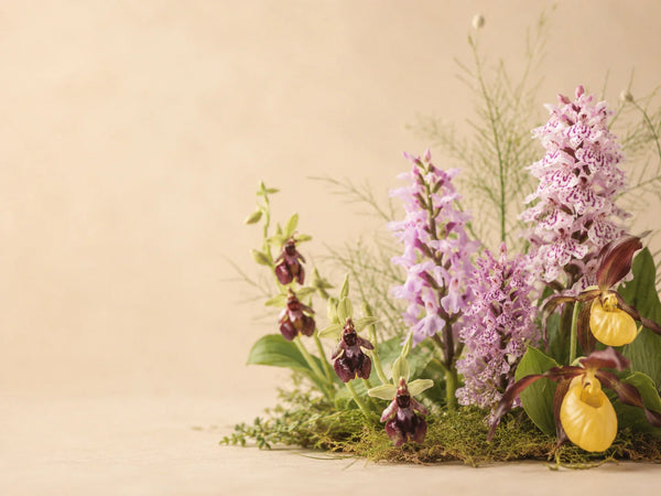 Blomessenser