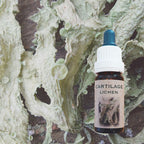 Brosklav 10 ml