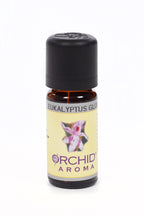 Eukalyptus globulus Eko 10ml 2