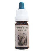 Grå Tagellav 10 ml