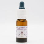 Jungfru Marie Nycklar 10ml