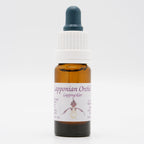 Lappnycklar 10ml