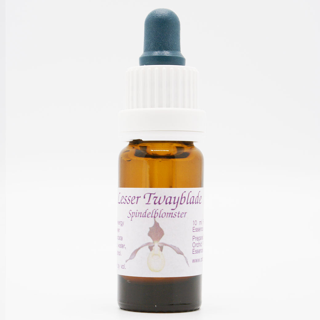 Spindelblomster 10ml